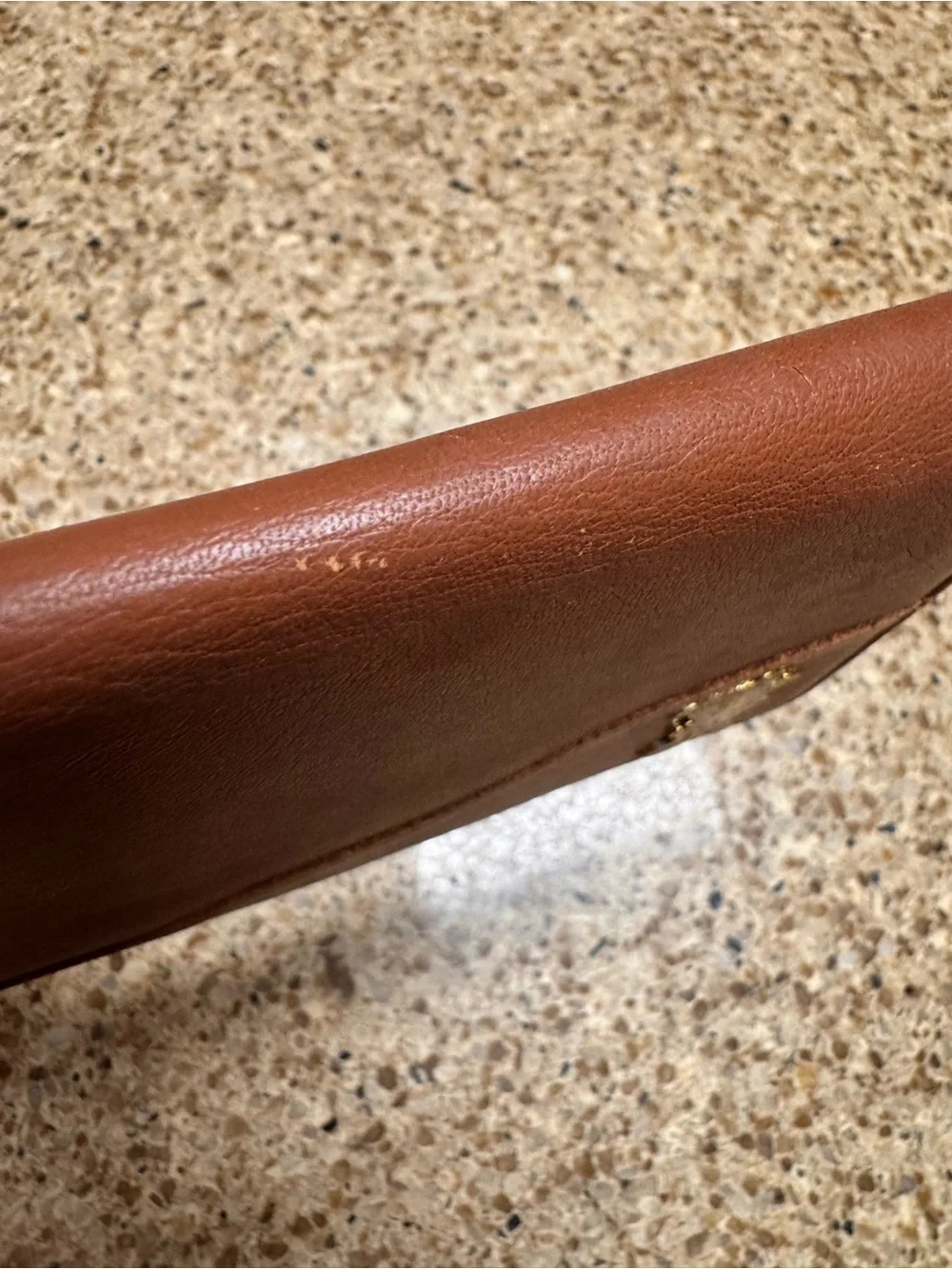 Brown Leather Travel Wallet with Dog Accent